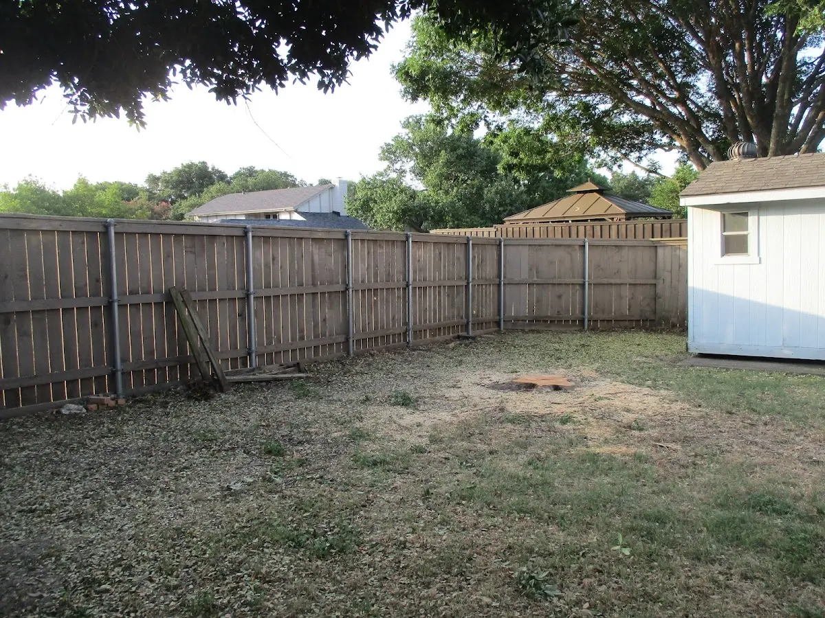 Cleared yard after professional tree removal in Homosassa